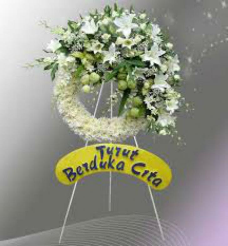 Sambut Kedatangan Wabup Rohil Pesilat Persembahan Meninggal Dunia