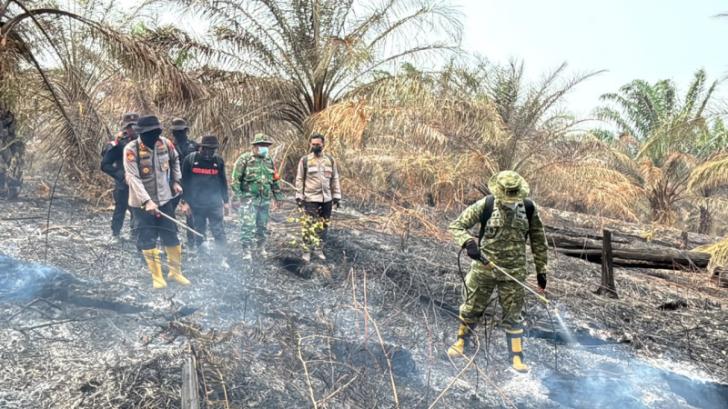 Bermalam di Lokasi Karhutla, Kapolres Inhu Bersama Dandim Padamkan Api