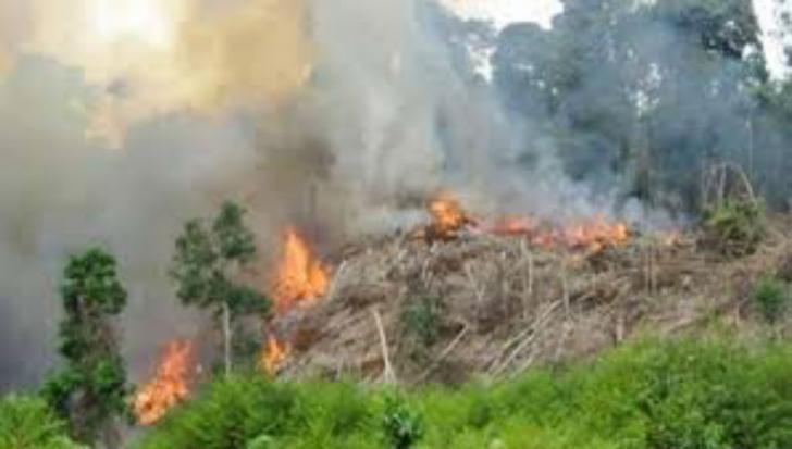 Masyarakat Dilarang Bakar Hutan dan Lahan, Kapolsek Batu Hampar: Sanksinya Dipenjara