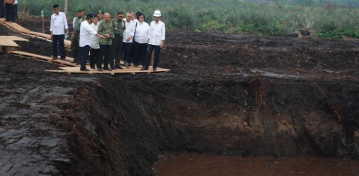 Asap Riau dari Sumsel, Jokowi Janji Sepekan Tak Lagi ada Asap