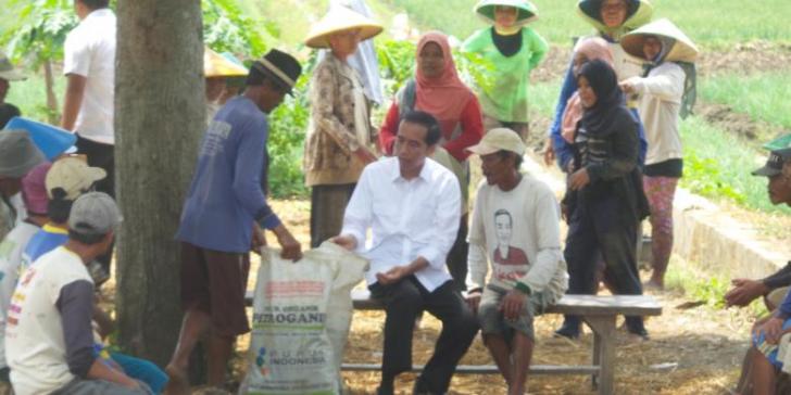 Jokowi Bawa Sekarung Daun Bawang Penuh Ulat dari Petani