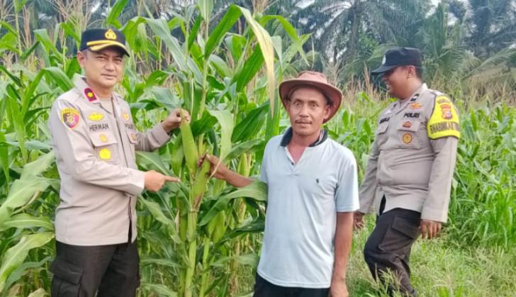 Kapolsek Kandis Sambangi Petani Jagung untuk Ketahanan Pangan