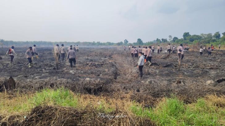 Potret Personel Polres Pelalawan dan Brimob Padamkan Karhutla, Pisahkan Bongkahan Kayu dari Gambut