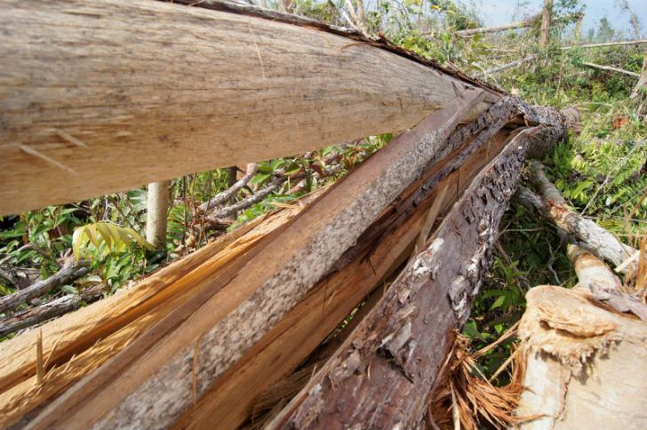 Warga Kuba Resahkan Rencana Pengembangan Operasi PT SRL