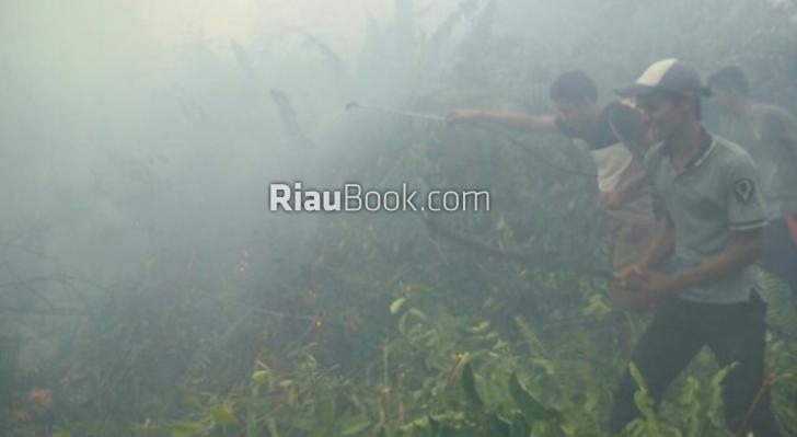 Lahan Gambut Kering, Puluhan Hektar Hutan Meranti Terbakar