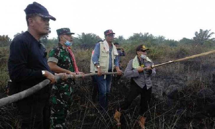 Bupati Rohil Langsung Padamkan Kebakaran Lahan di Kuba