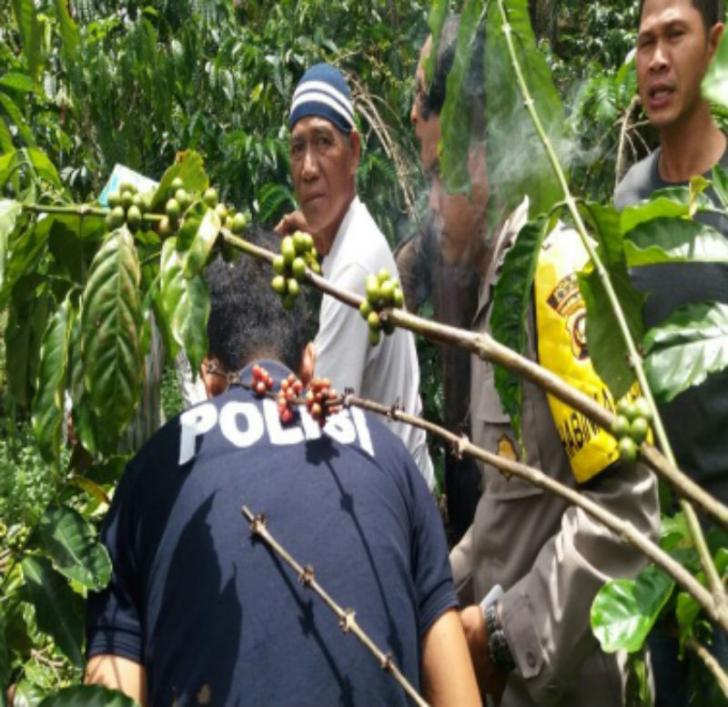 Dibuang di Kebun Kopi, Bayi Laki-laki Ini Selamat