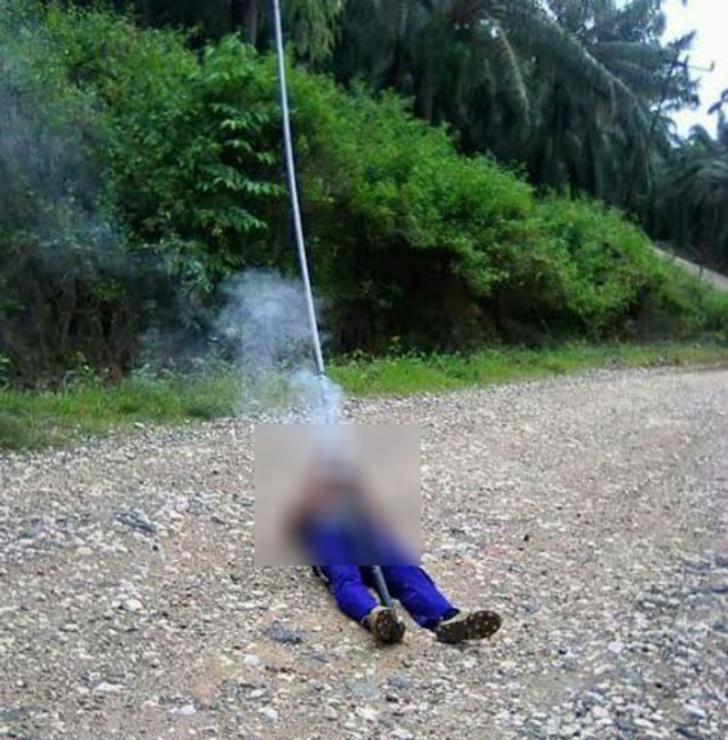Panen Sawit, Seorang Pelajar di Lubuk Dalam Tewas Tersengat Listrik