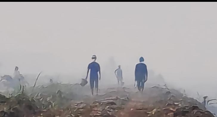 Kualitas Udara Kota Pekanbaru Sangat Tidak Sehat