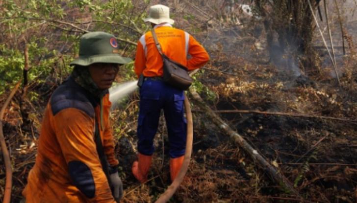 Penanganan Karhutla di Riau Jadi Percontohan