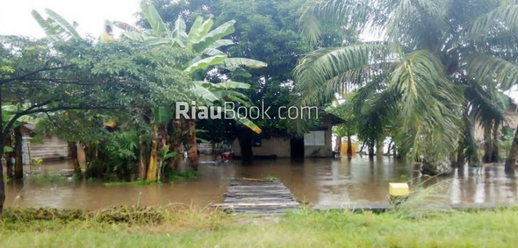 Tanaman Warga Rusak Akibat Banjir di Desa Jayapura