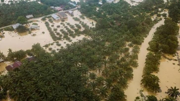 Pengamat: Banjir Riau Akibat Hutan Menipis & Kebun Sawit Meluas, Jangan Jadi Objek Politik