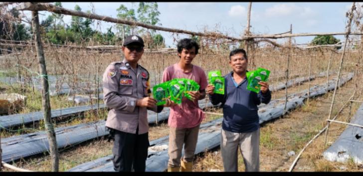 Polsek Pangkalan Kerinci Salurkan Bibit Sayuran Perkuat Ketahanan Pangan Masyarakat