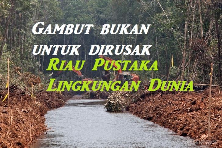 Pentingnya Lingkungan, Pemprov Riau Komitmen Pulihkan Gambut