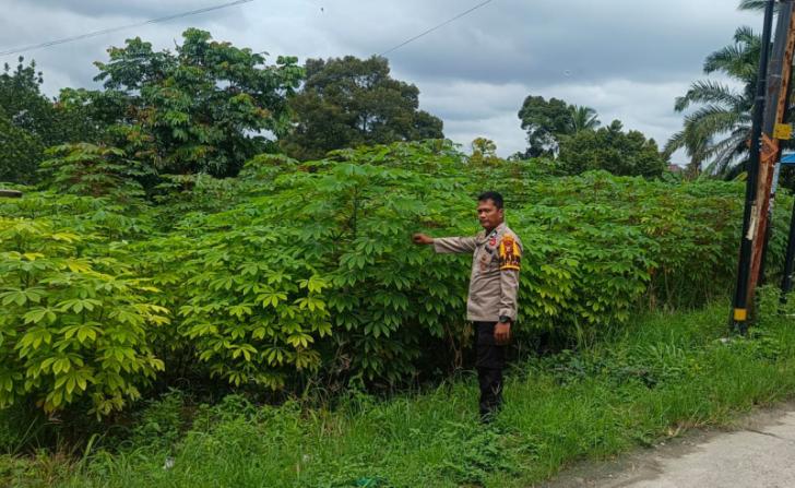 Bhabinkamtibmas Kelurahan Tanah Datar Aktif Dorong Pemanfaatan Pekarangan Hijau untuk Ketahanan Pangan Keluarga