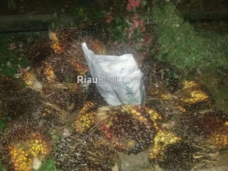Pria Setengah Abad di Rengat Masuk Penjara