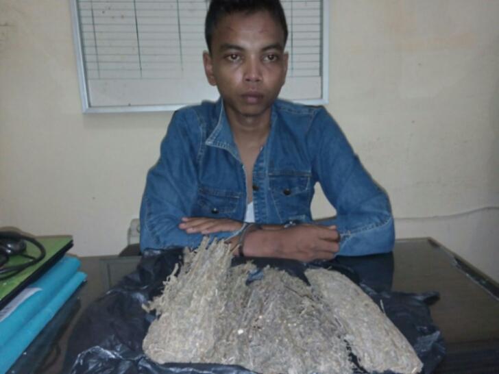 Tunggu Pembeli, Pemilik 400 Gram Daun Ganja Tak Berkutik Dipergoki Polisi
