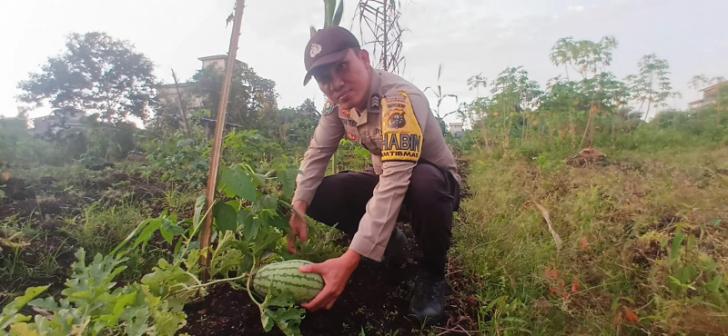 Personel Polsek Teluk Meranti Monitoring Program Ketahanan Pangan