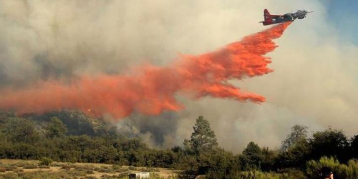 Ayo... Perusahaan Riau yang Lahanya Terbakar Akan Diselidiki