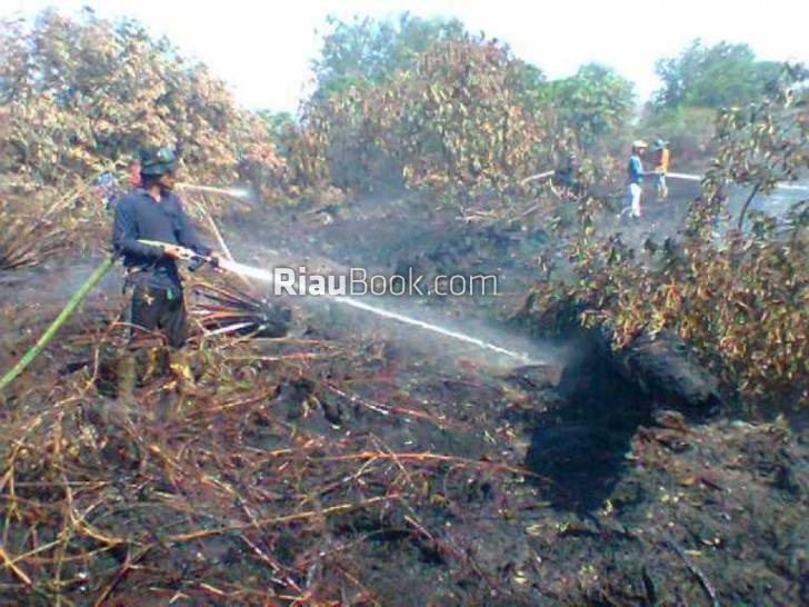 Segitu Lemahnya Pemerintah, Hingga Jepang Terjun Tuntaskan Kebakaran Sumatera?