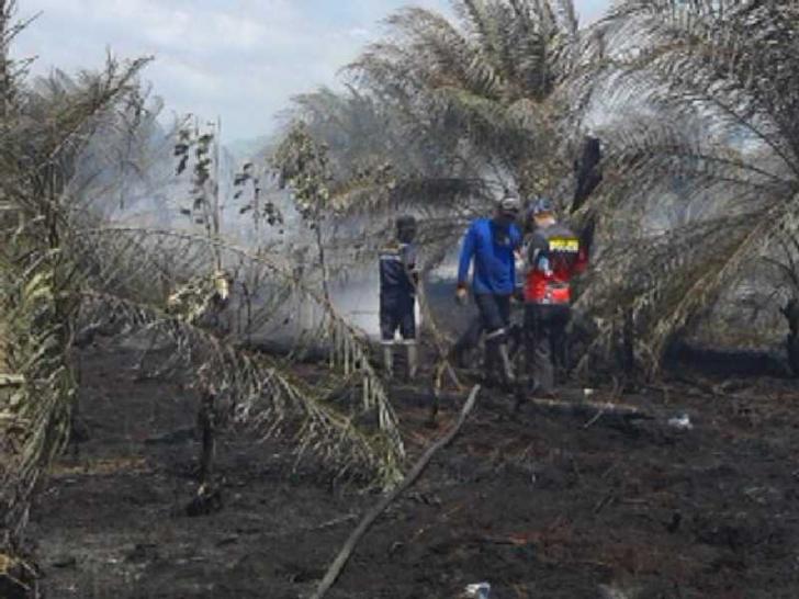 Api Belum Sepenuhnya Padam, Kepulan Asap Tipis Ganggu Bengkalis