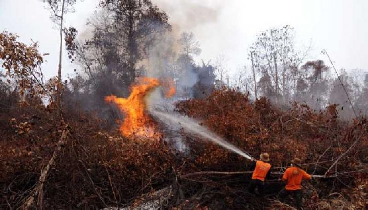 8 Titik Panas Terdeteksi, Sebagian Riau Diguyur Hujan Ringan