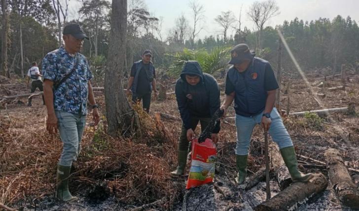 Seorang Buronan Kasus Karhutla di Siak Ditangkap