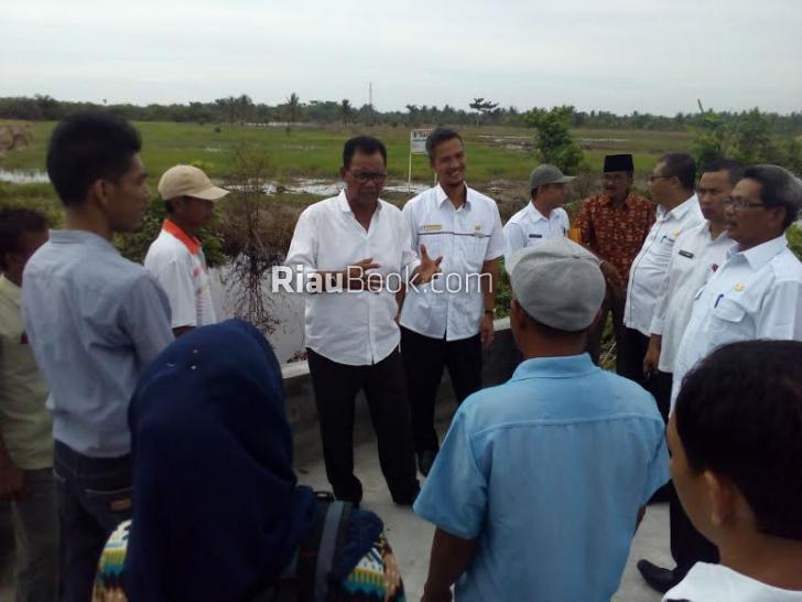 Baganjawa Pesisir Jadi Percontohan Pertanian, Ratusan Hektar Lahan Masih Produksi