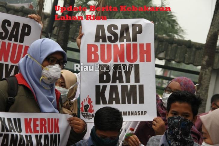 Dan, Cagar Biosfer pun Terbakar, Sinarmas Bertanggung jawab