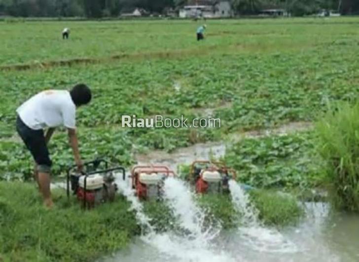 Banjir di Buantan Besar Mulai Surut, Masyarakat Tetap Waspada