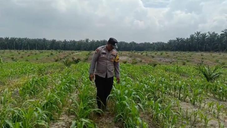 Bhabinkamtibmas Aipda Janseng Temui Petani Ayu Makmur,  Bahas Peningkatan Produktivitas Pangan
