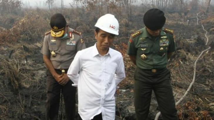 Setelah Persiapan Matang, Presiden Jokowi Batal ke Riau