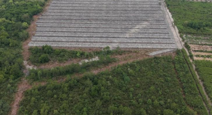 Polisi Tetapkan Penghulu Jadi Tersangka Dugaan Perusakan Hutan Mangrove di Rohil