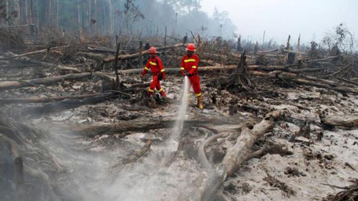 Komisi III DPR RI Panggil Mantan Kapolda Riau, Pendalaman Terbitnya SP3 15 Perusahaan Pembakar Hutan