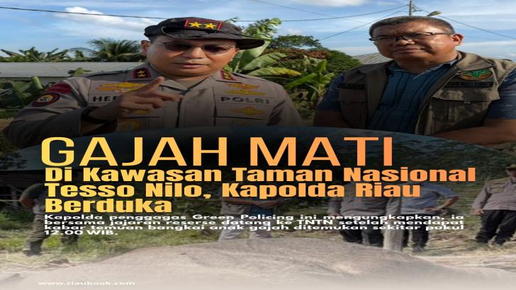 Gajah Mati di Kawasan Taman Nasional Tesso Nilo, Kapolda Riau Berduka