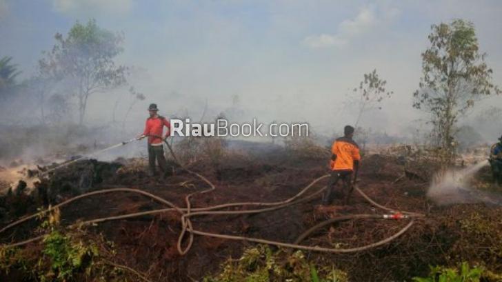 Di Rohul Ada Sayembara Penangkap Pembakar Lahan, Hadiahnya...