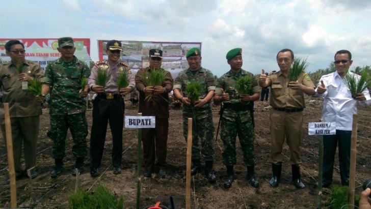 Dukung Swasembada Pangan, Pemerintah Cetak Sawah 920 Ha di Kepulauan Meranti