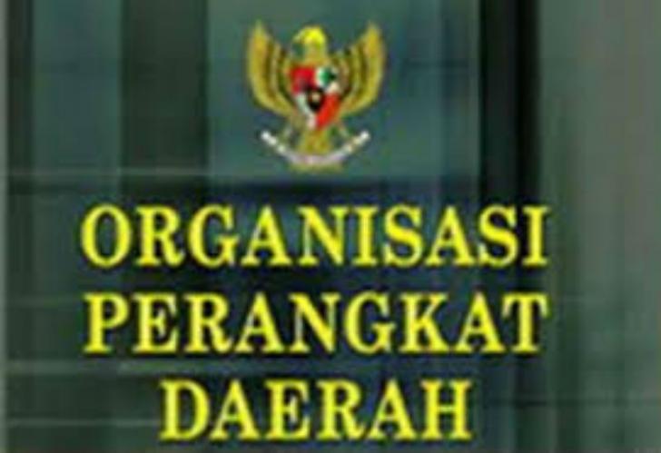 OPD Tertutup Soal Penggunaan Anggaran, Ahmad Hijazi: Ngak Usah Khawatir