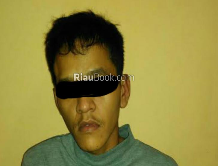 Polisi Tangkap Kurir Sabu di Lubuk Dalam
