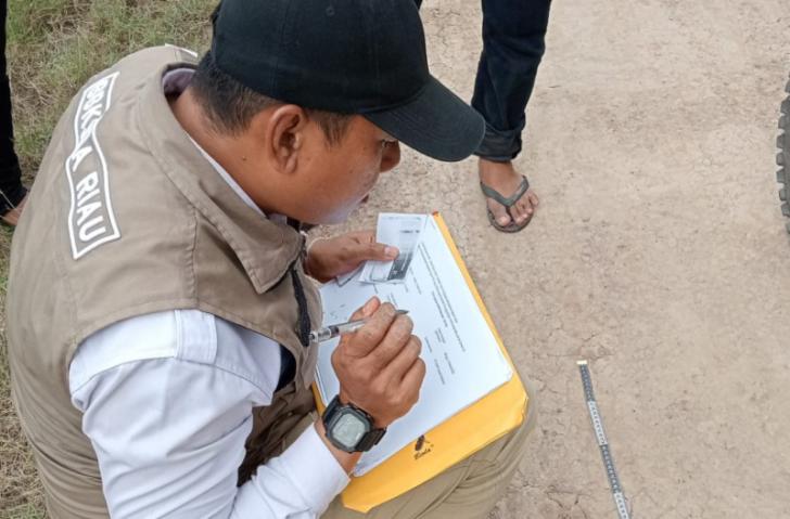 BBKSDA Riau Pantau Keberadaan Harimau Sumatera di Indragiri Hilir Pakai Drone dan Kamera Trap