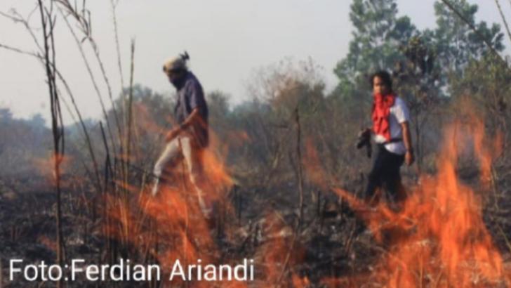 Empat Heli Water Bombing Dikerahkan Pemadaman Karhutla di Riau