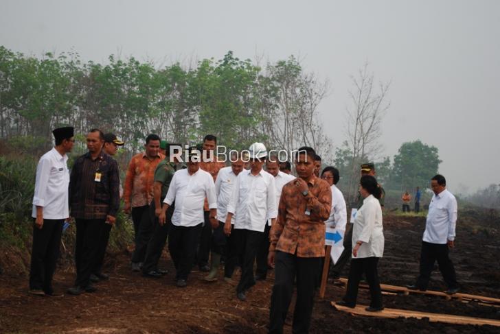 Inilah 4 Poin Tuntutan Greenpeace Untuk Jokowi Hentikan Asap