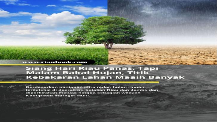 Siang Hari Riau Panas, Tapi Malam Bakal Hujan, Titik Kebakaran Lahan Maaih Banyak