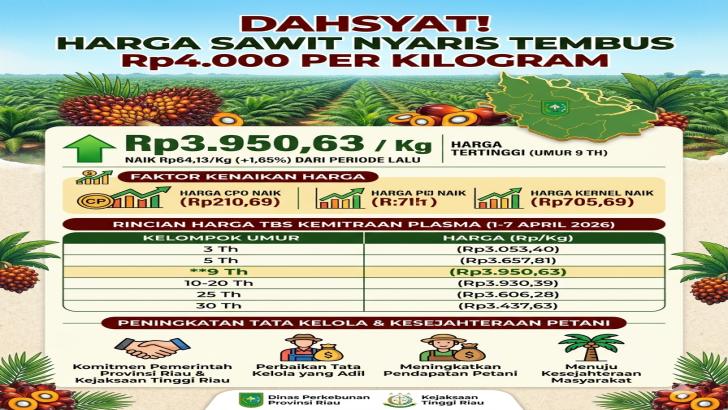 Dahsyat! Harga Sawit Nyaris Tembus Rp4.000 Per kilogram