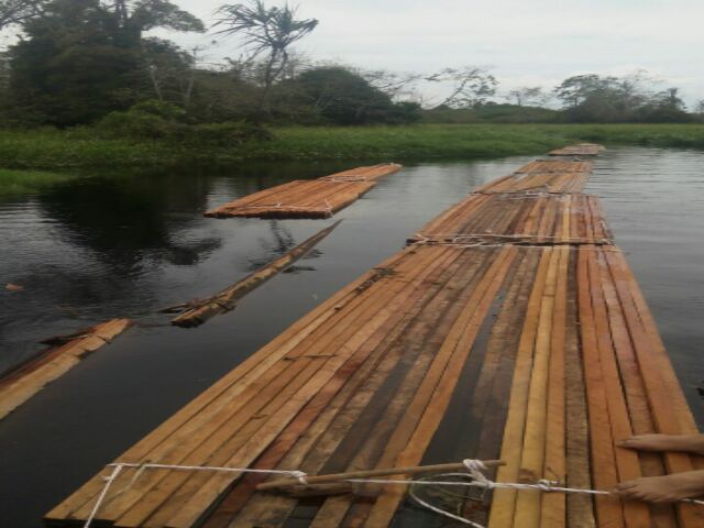 Polsek Kerumutan Temukan 60 Kubik Kayu Tak Bertuan Mengapung di Sungai