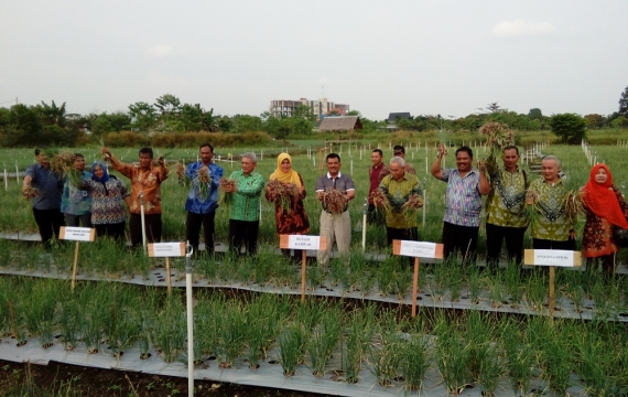 Pusat Sedot Rp600 Triliun dari Riau setiap Tahun