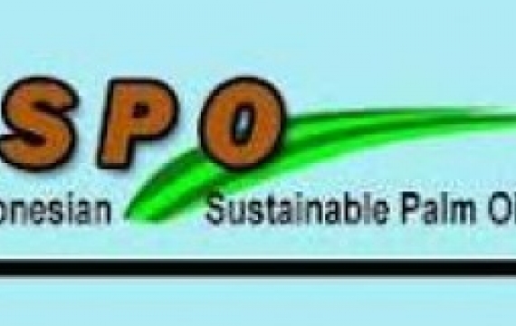 Hebat... Riau Jadi Percontohan ISPO Petani Swadaya