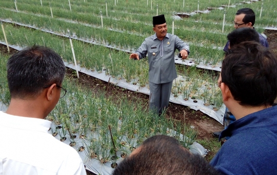 Krisis Tenaga Penyuluh, Kampar Inisiatif Cetak Tenaga Swakarsa
