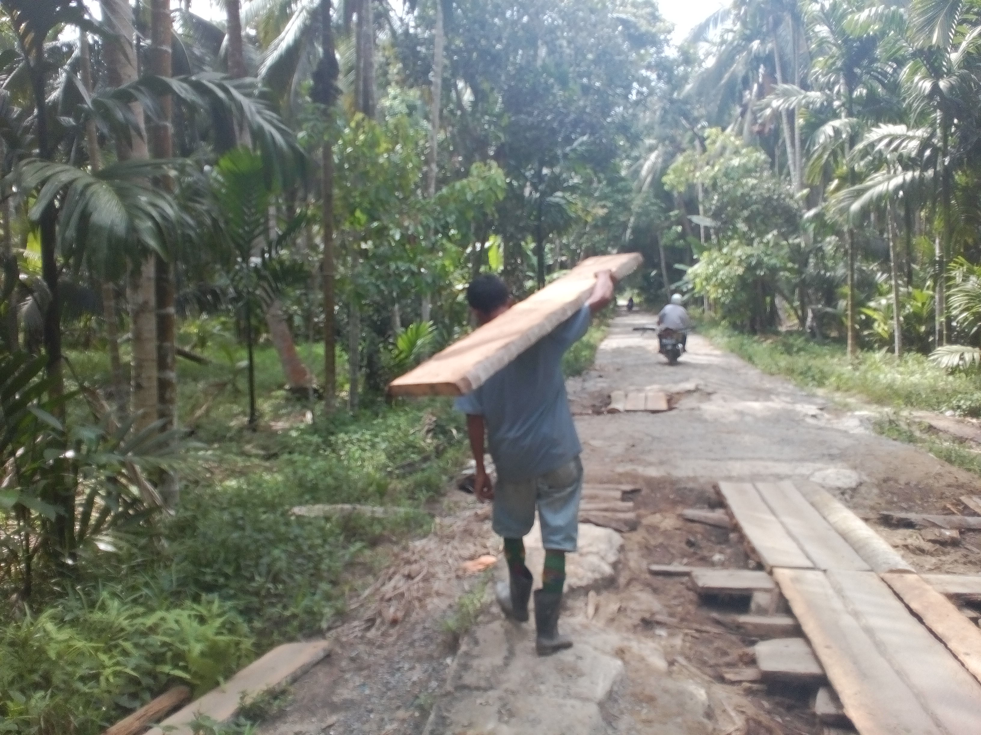 Afrizal, Relawan Jalan Menuju Teluk Pinang Targetkan Tutupi Semua Lubang dengan Batang Kelapa