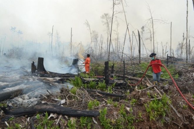 Asap Riau Menghilang Setelah Cederai Ribuan Orang